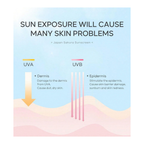 Protector Solar Japan Sakura SPF 50+ Laikou (50g)